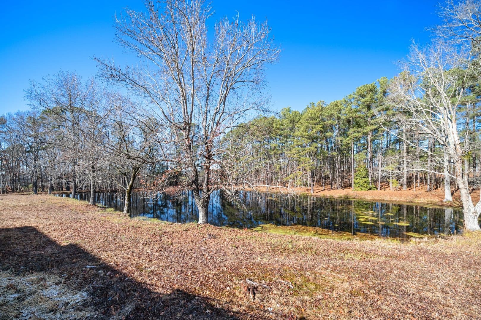 Apex Townhome: 1826 Porch Swing Way