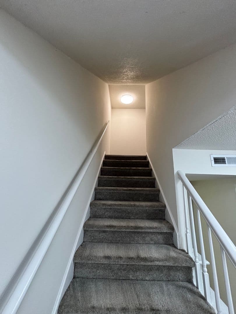 Raleigh Apartment: 2357 Champion Court