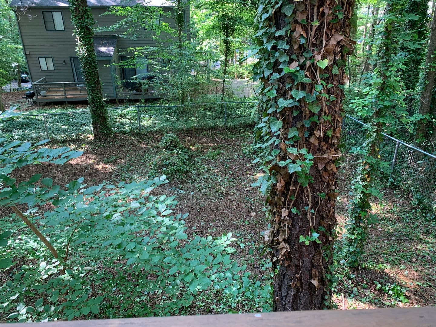 Raleigh Apartment: 4808 & 4810 Edwards Mill Road