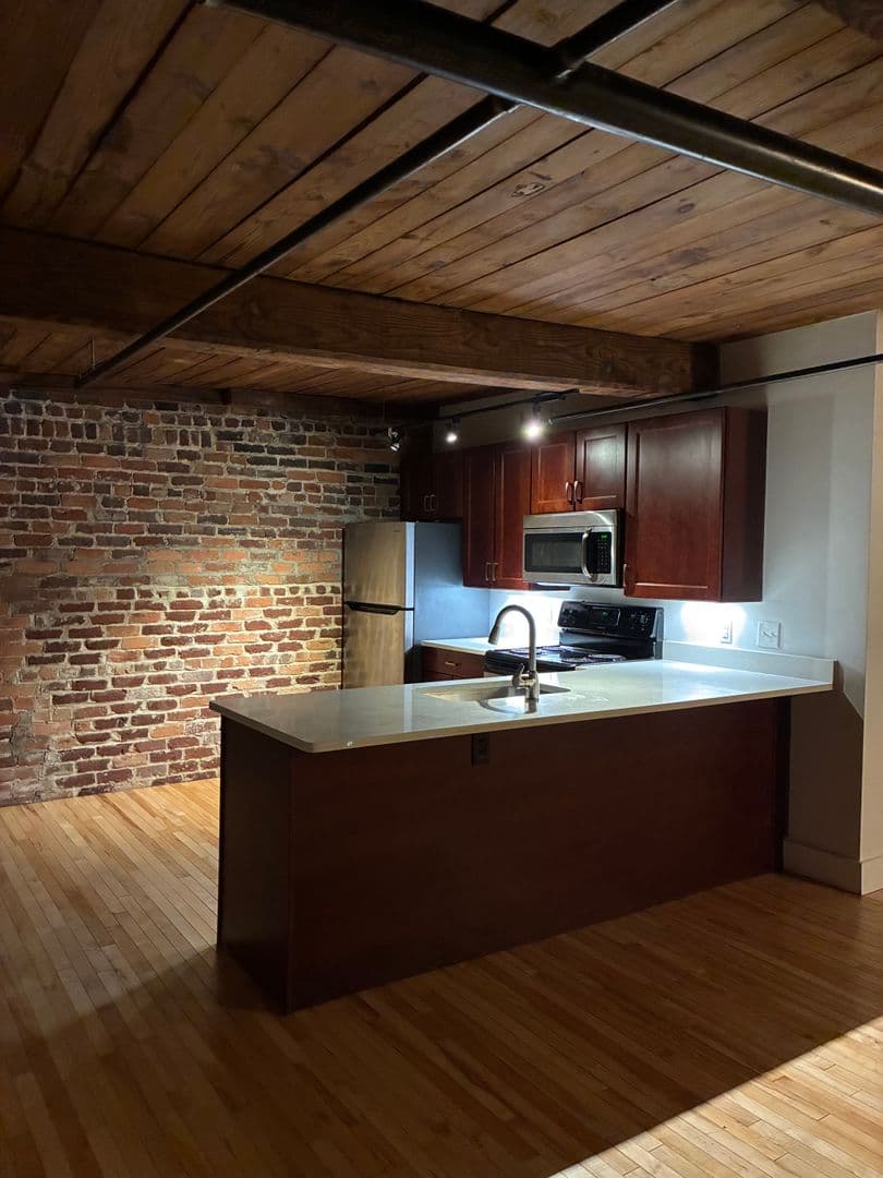Petersburg Apartment: 219 E Bank St - Apt 202