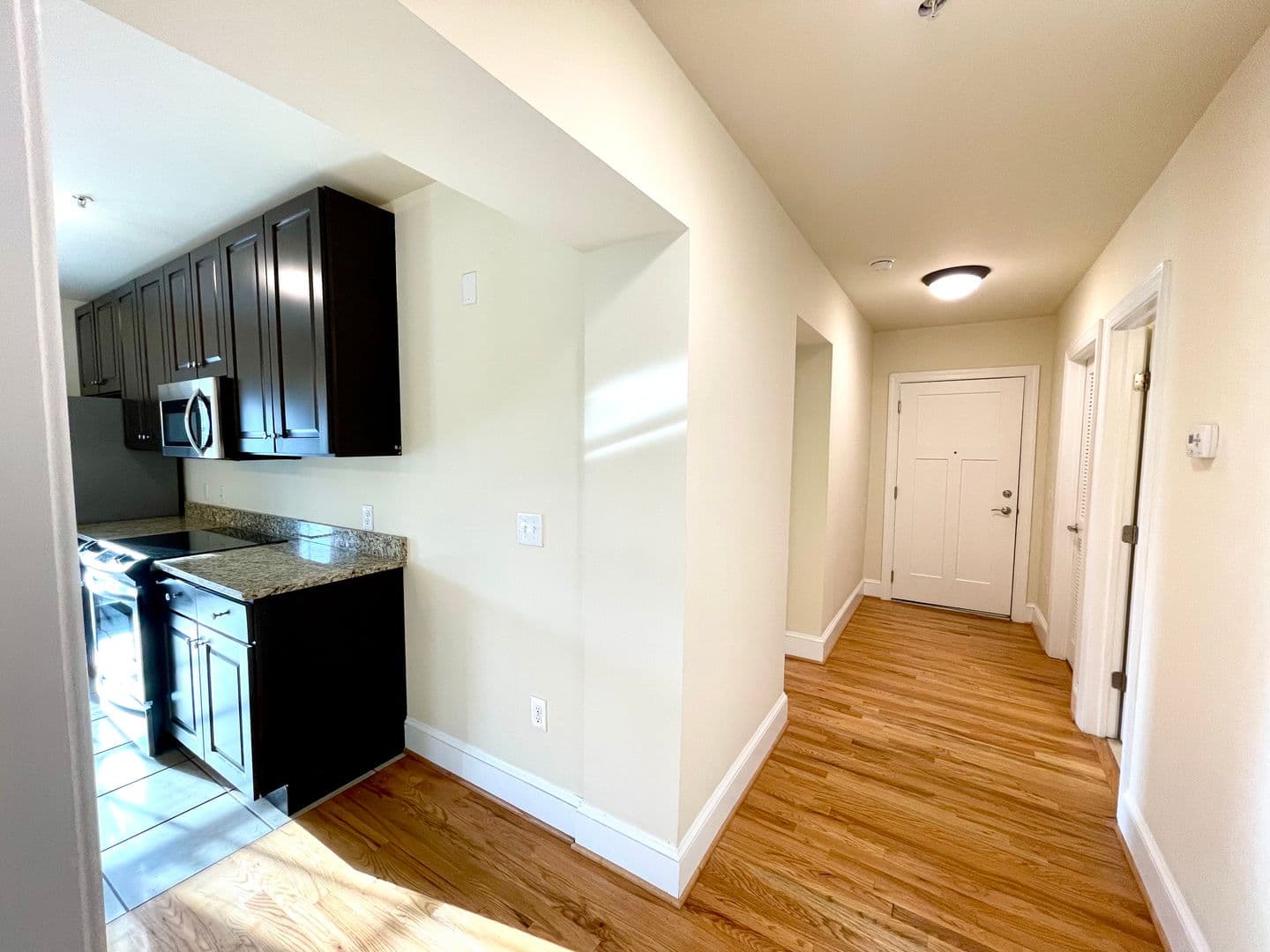Richmond Apartment: 6 S Harvie St