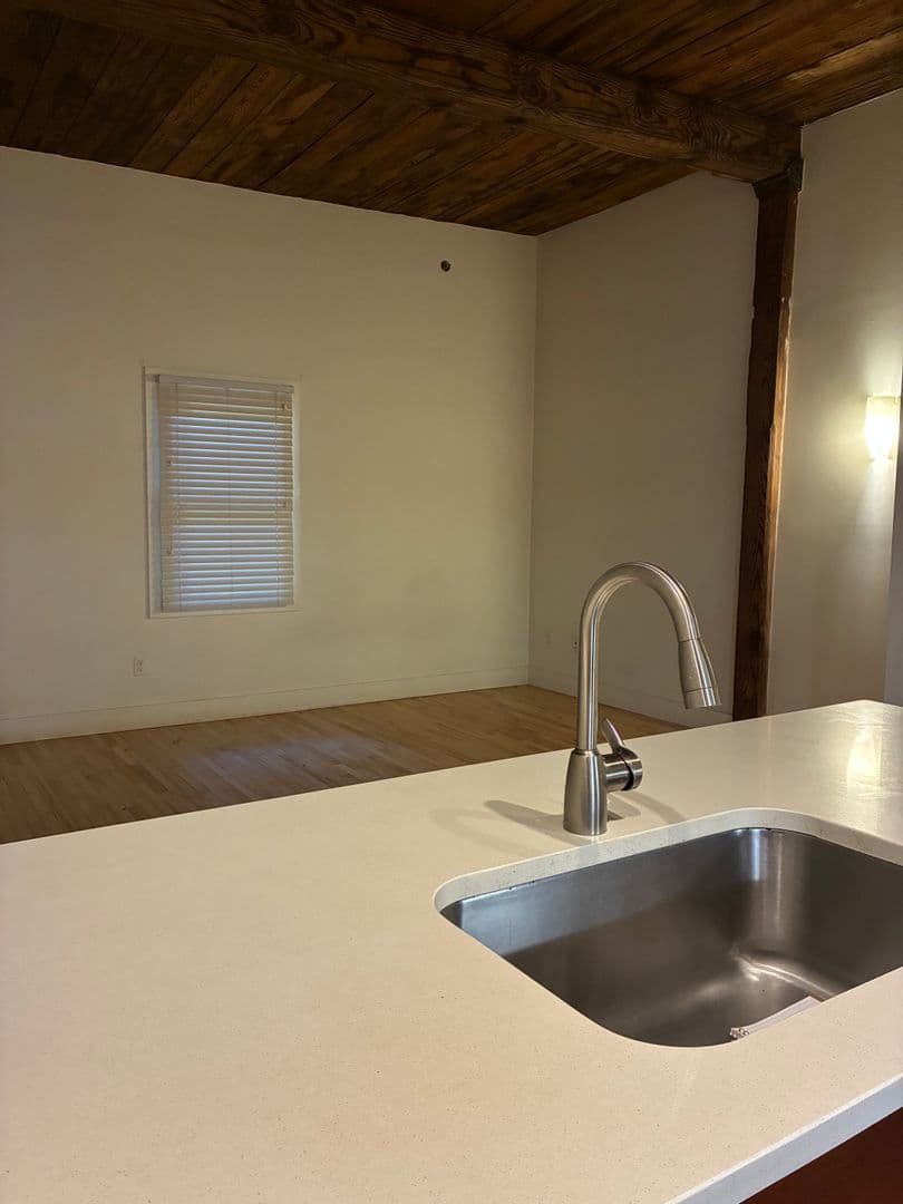 Petersburg Apartment: 219 E Bank St - Apt 214