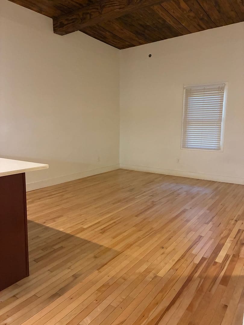 Petersburg Apartment: 219 E Bank St - Apt 214