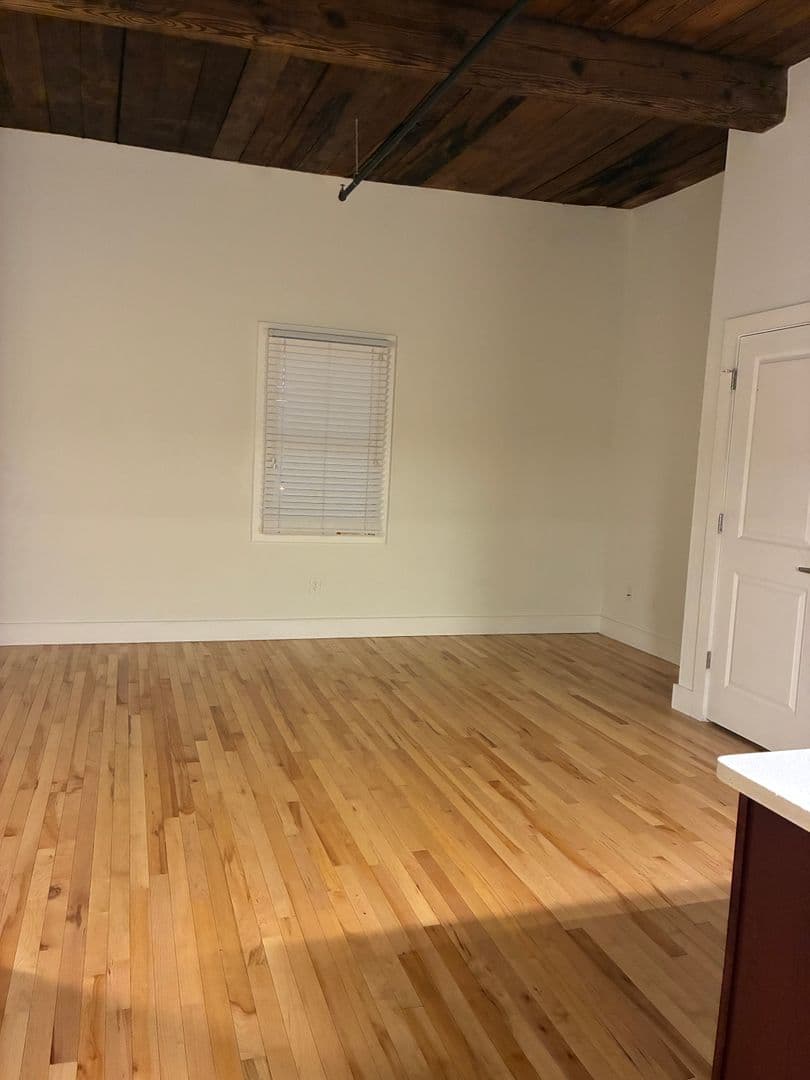 Petersburg Apartment: 219 E Bank St - Apt 207