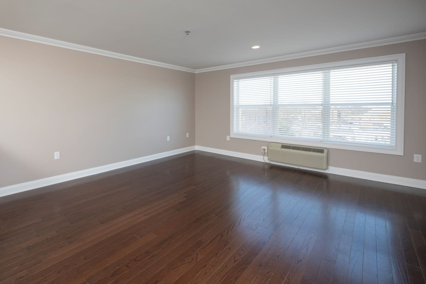Bergenfield Apartment: 47 Legion Drive
