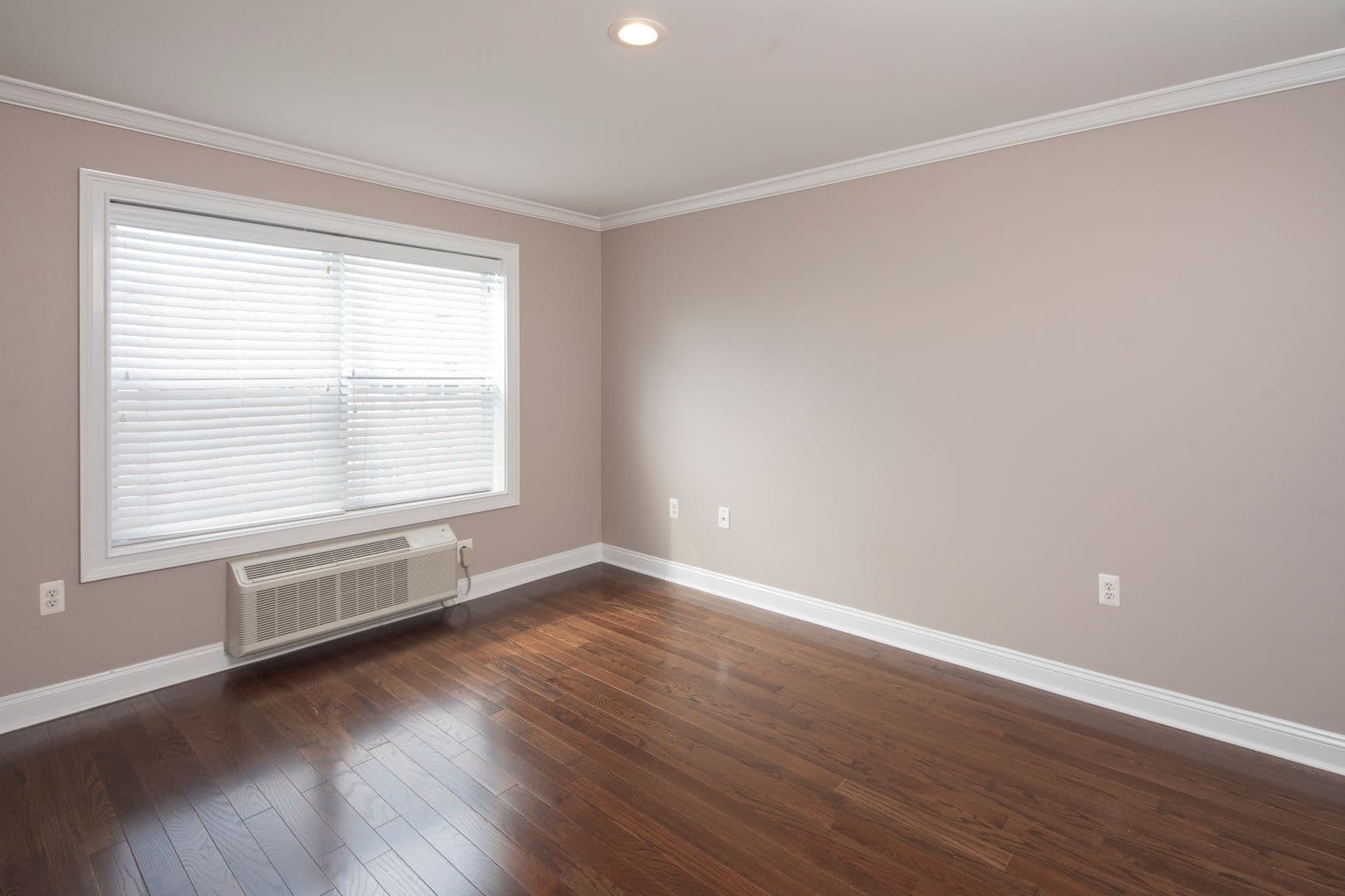 Bergenfield Apartment: 47 Legion Drive