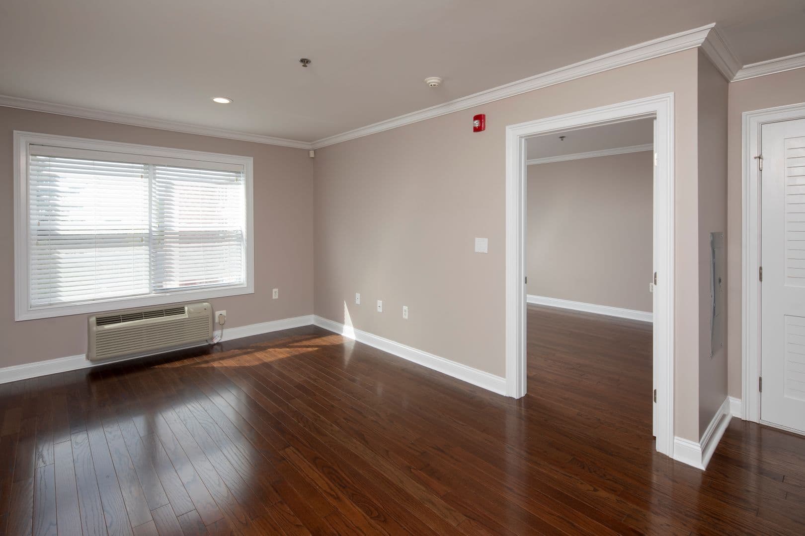 Bergenfield Apartment: 47 Legion Drive