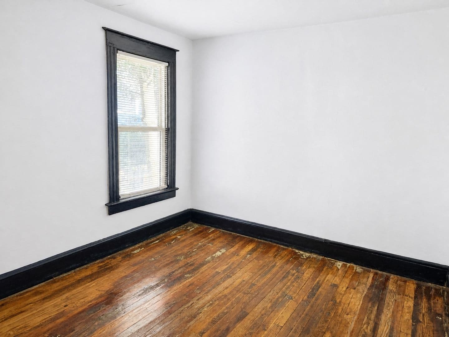 Rochester House: 115 Mohawk Street
