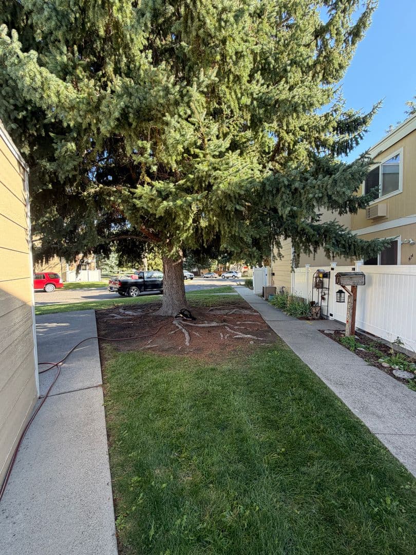 Billings House: 1610 Roadrunner Pl