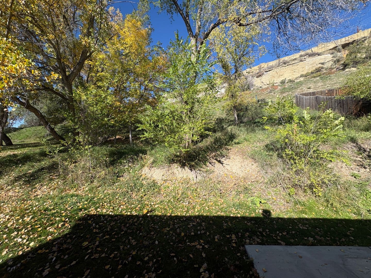 Billings House: 1679 Vuecrest Dr