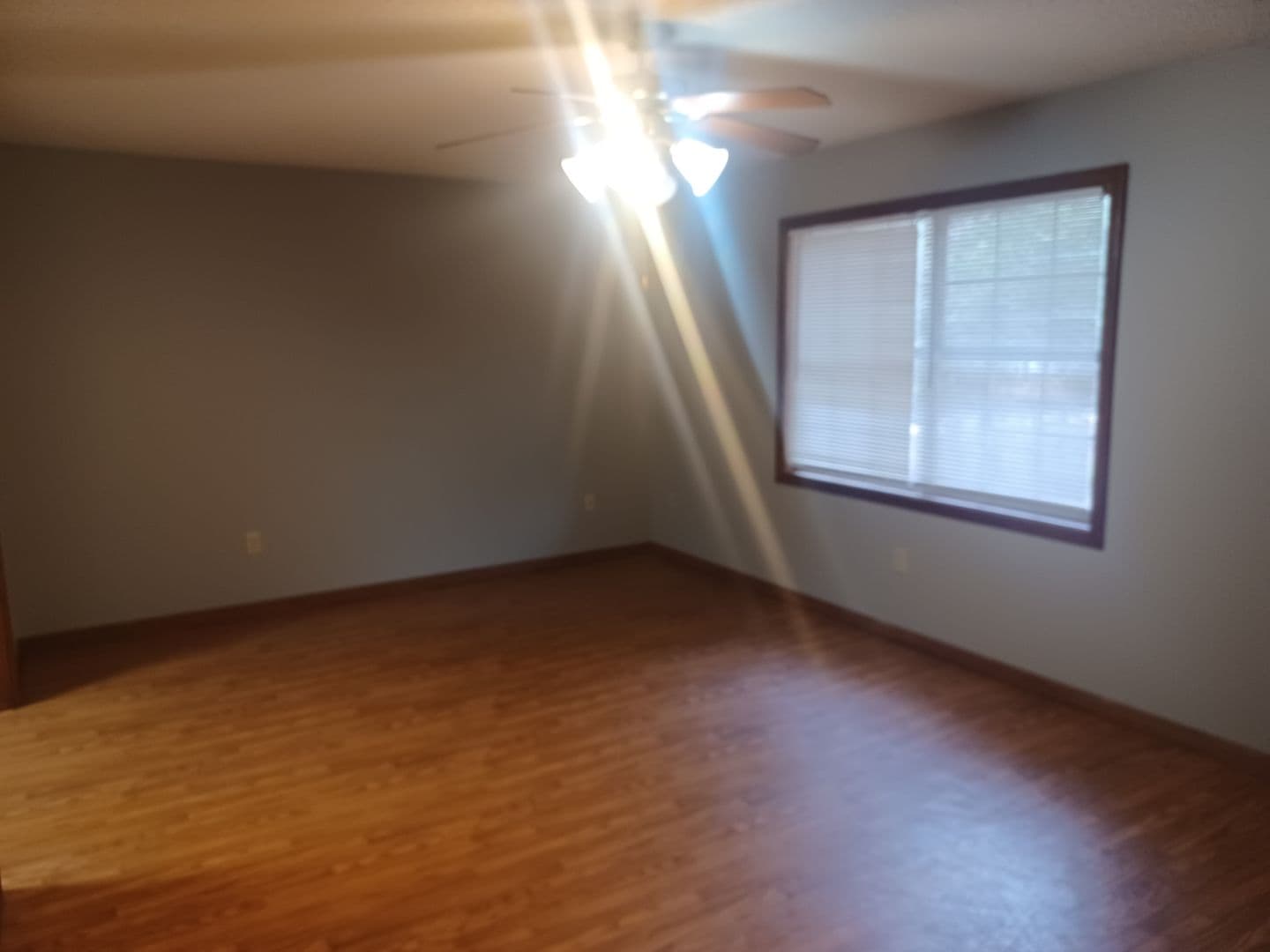Pineville House: 1204 Jeannie Unit A