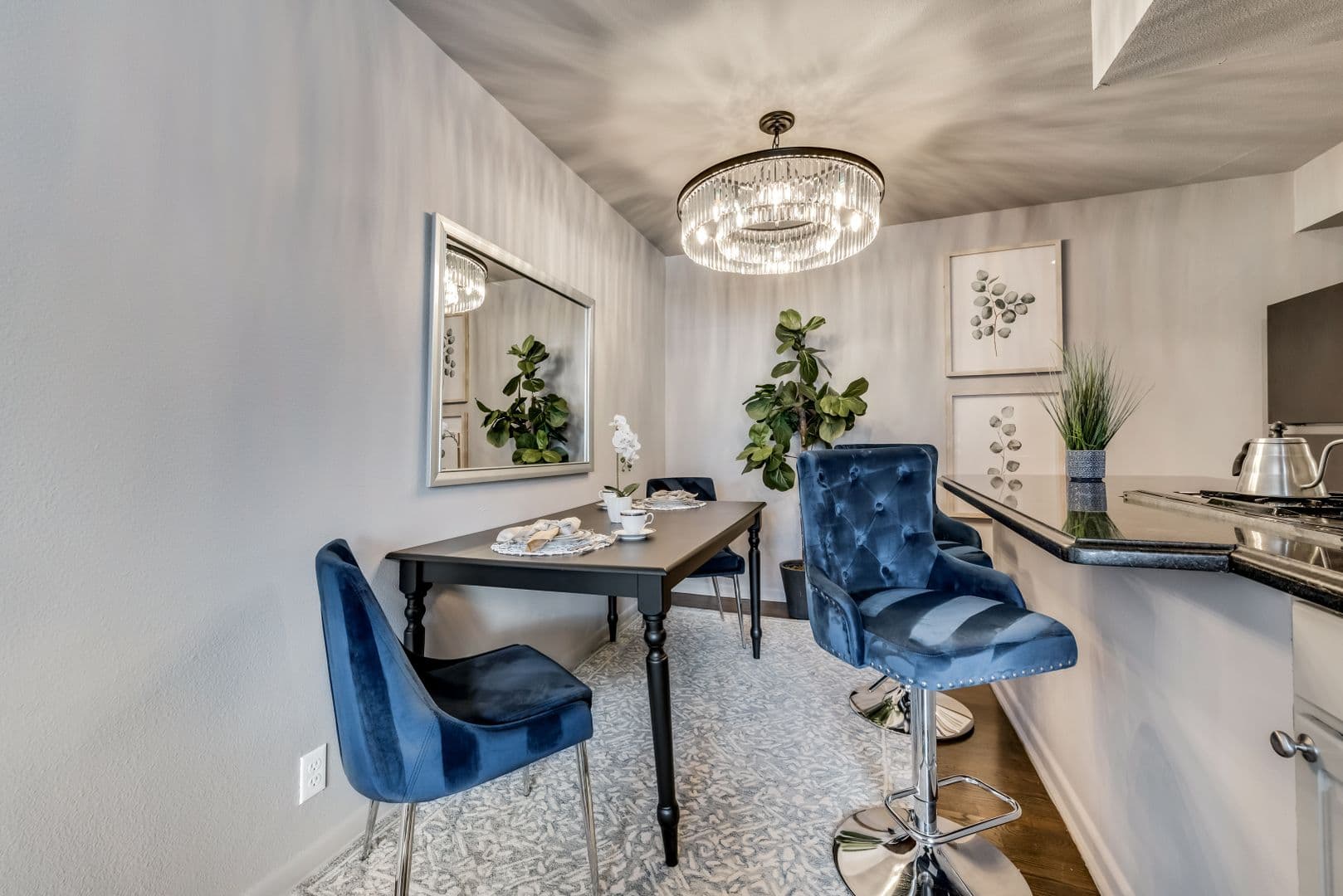 Dallas Apartment: 5002 Junius Street