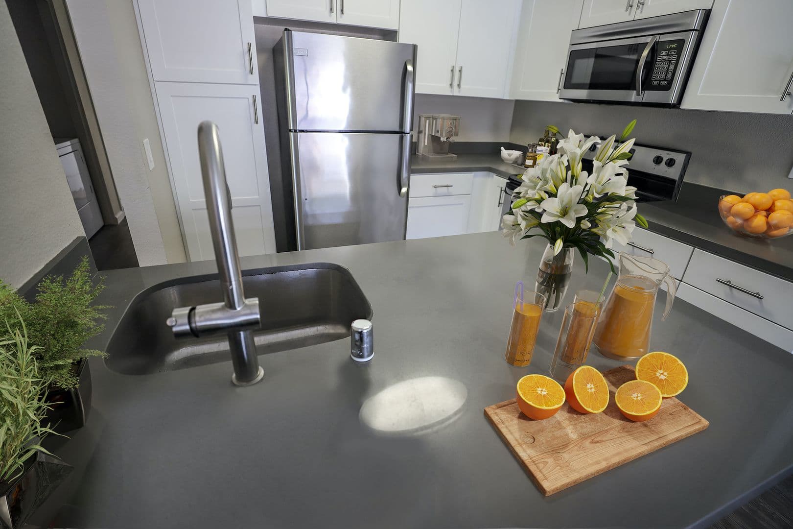 Carlsbad Apartment: 2939 Unicornio Street