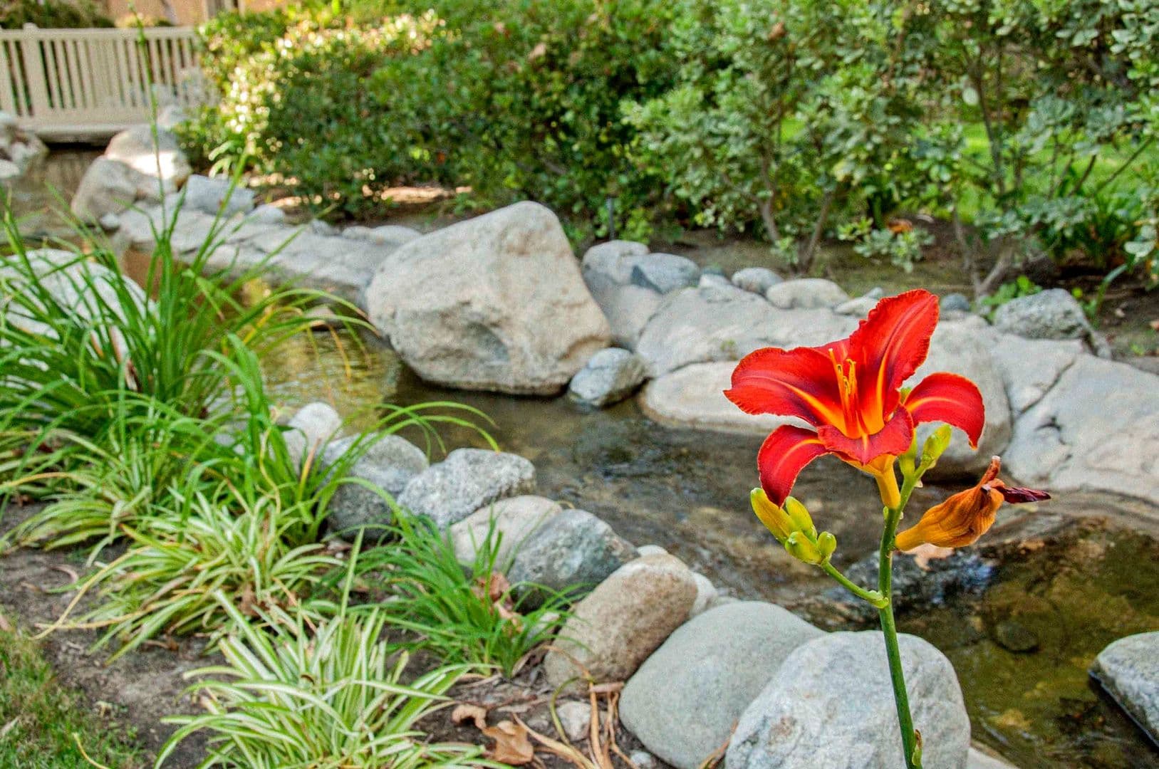 Lake Forest Apartment: 20702 El Toro Road