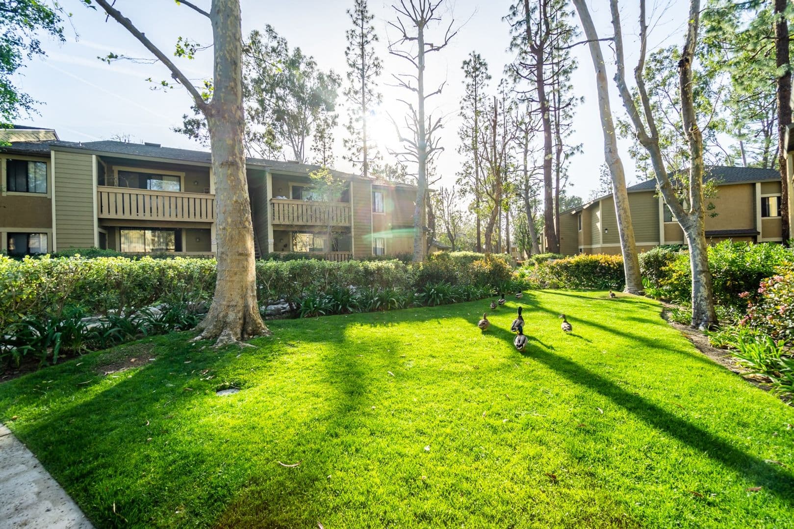 Lake Forest Apartment: 20702 El Toro Road