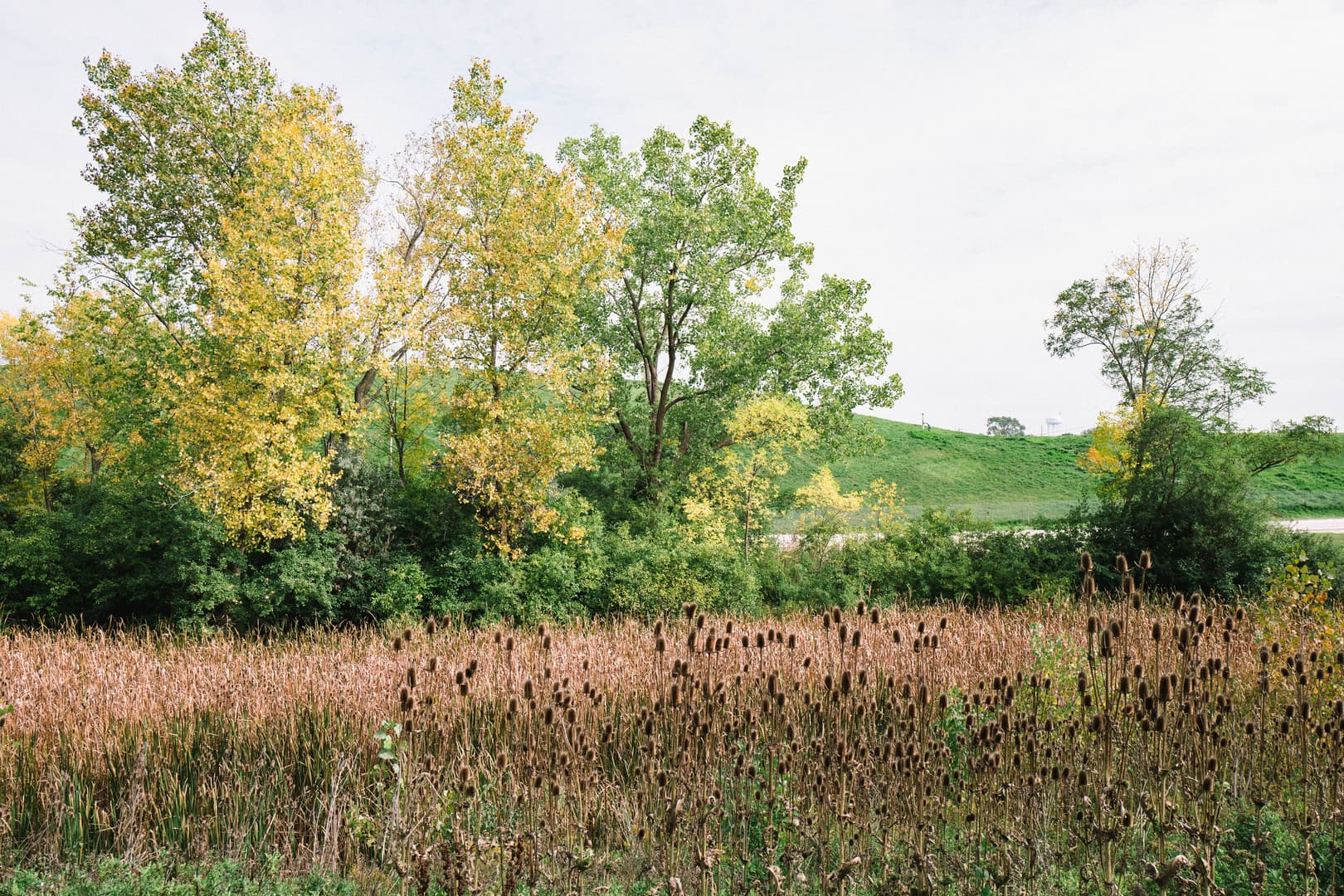Wauwatosa Apartment: 1550 Rivers Bend