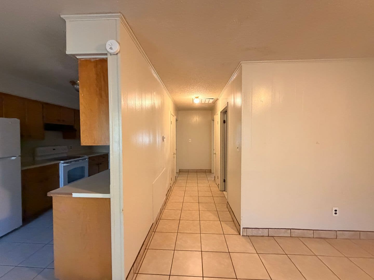 Russellville Apartment: E L St