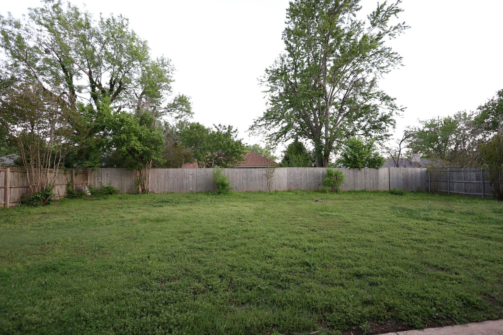 Norman House: 1808 Ridgewood Dr