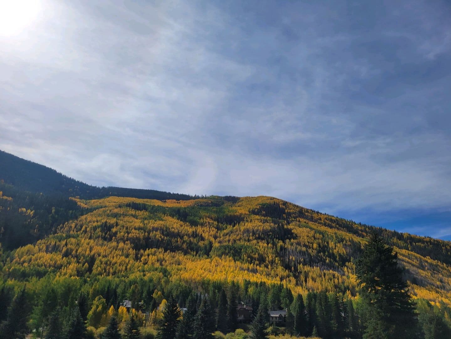 Vail Apartment: 1775 W. Gore Creek Dr.