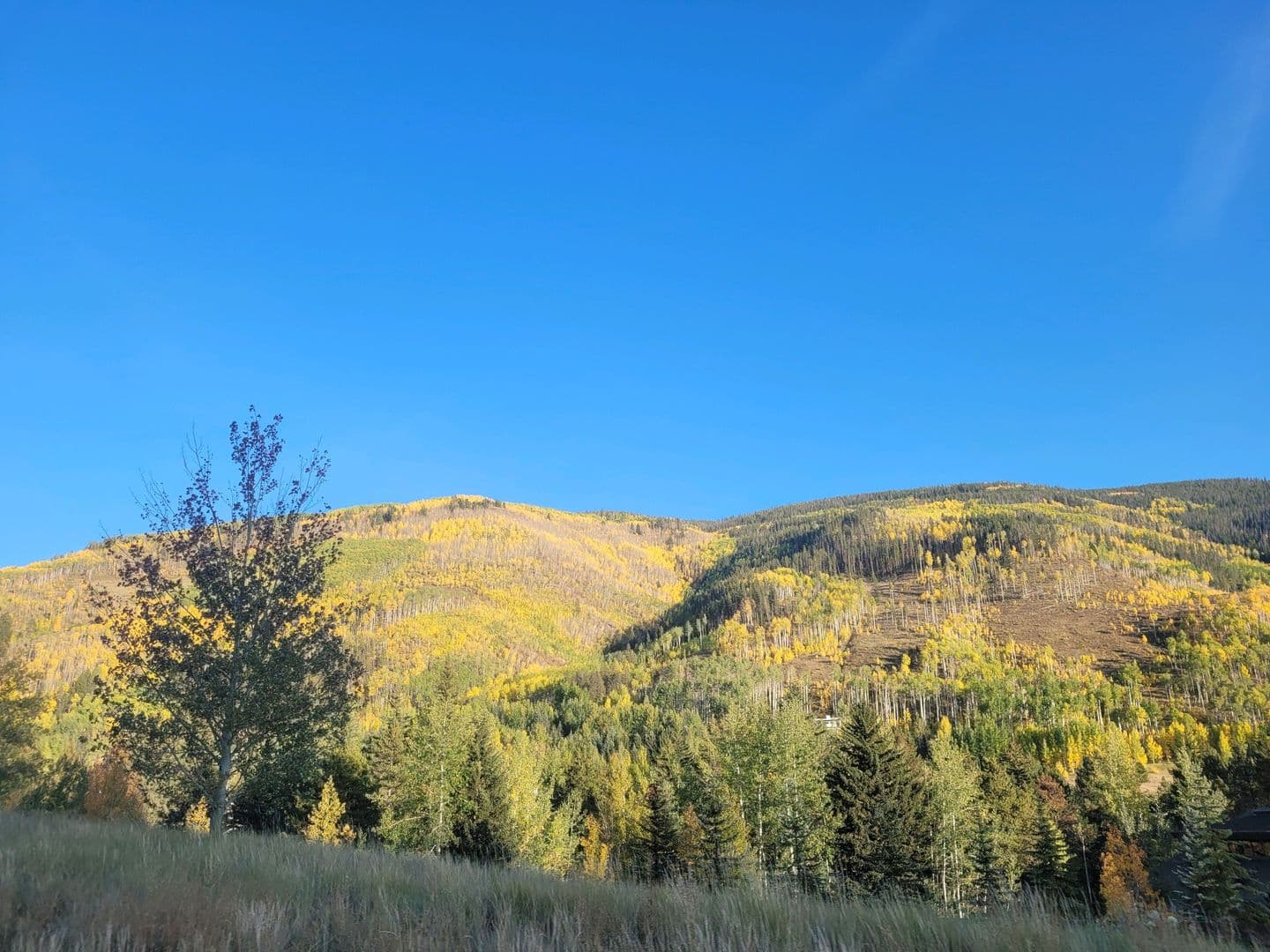 Vail Apartment: 1775 W. Gore Creek Dr.