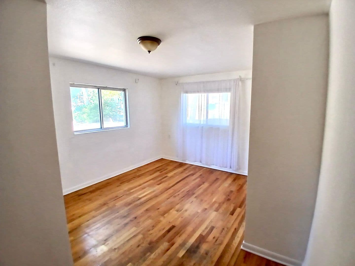 Fort Collins Apartment: 111 PLUM