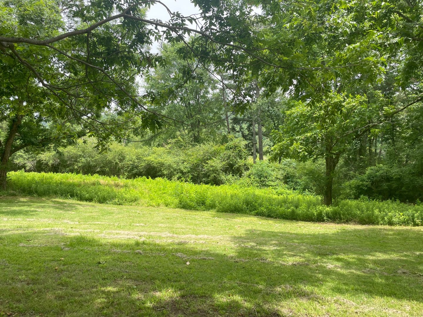 Trussville House: 3785 Pop Stone Circle