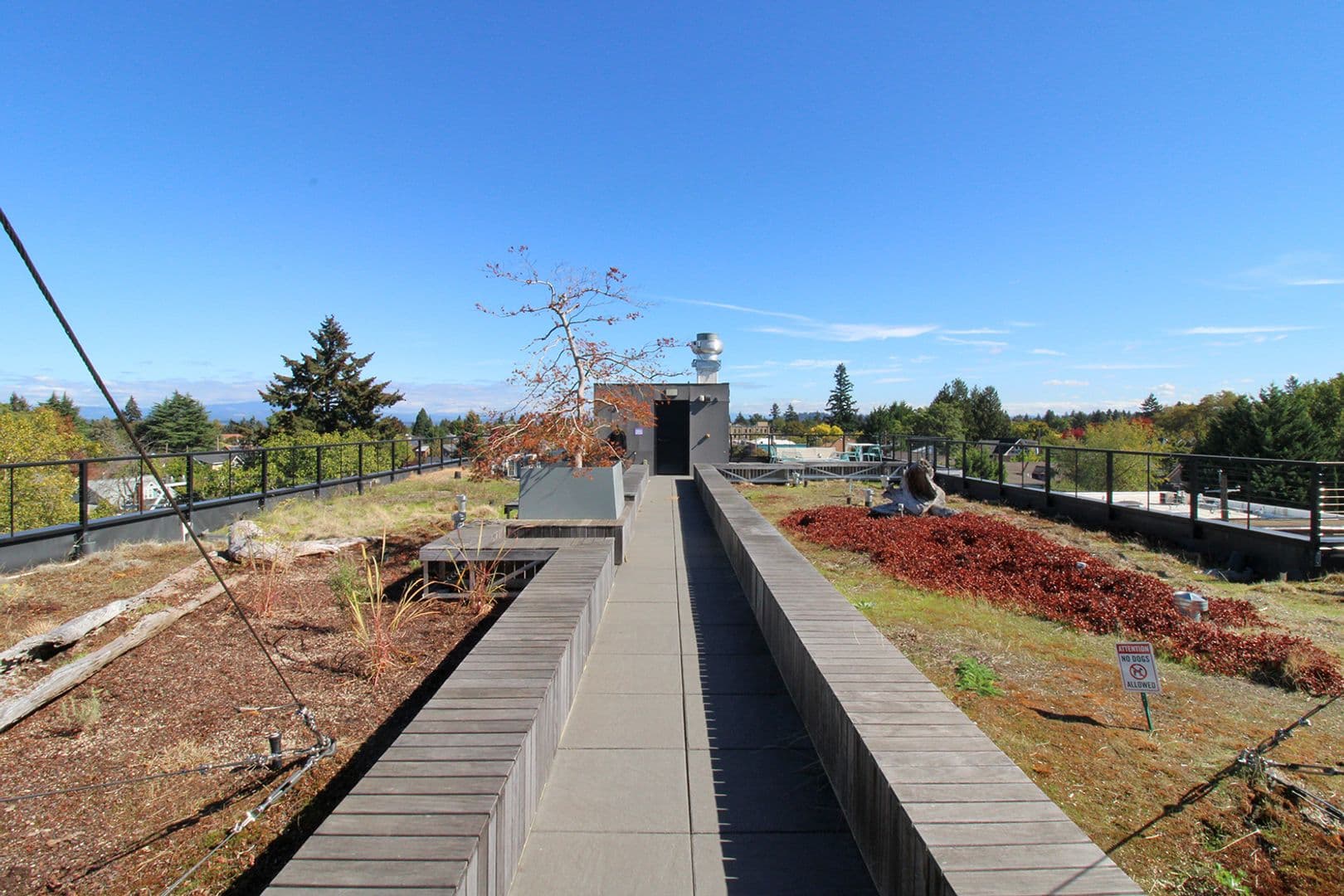 Portland Apartment: 1477 NE Alberta St