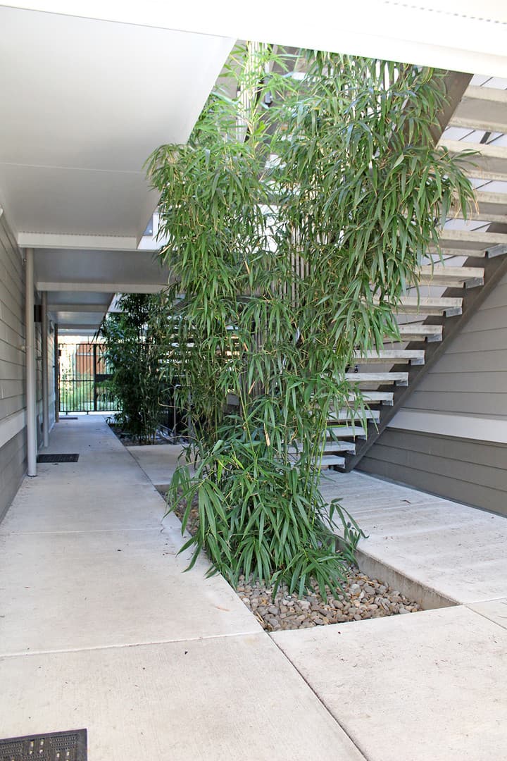 Portland Apartment: 6195 N Minnesota Ave