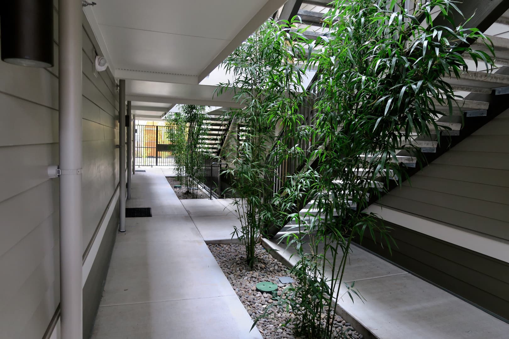 Portland Apartment: 6195 N Minnesota Ave