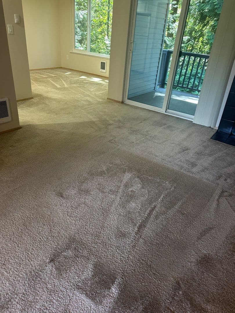 Kirkland Apartment: 10915 NE 128th St