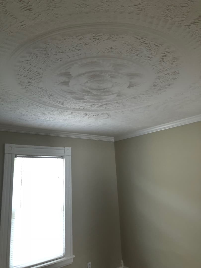 Rochester Apartment: 59 Edmonds St