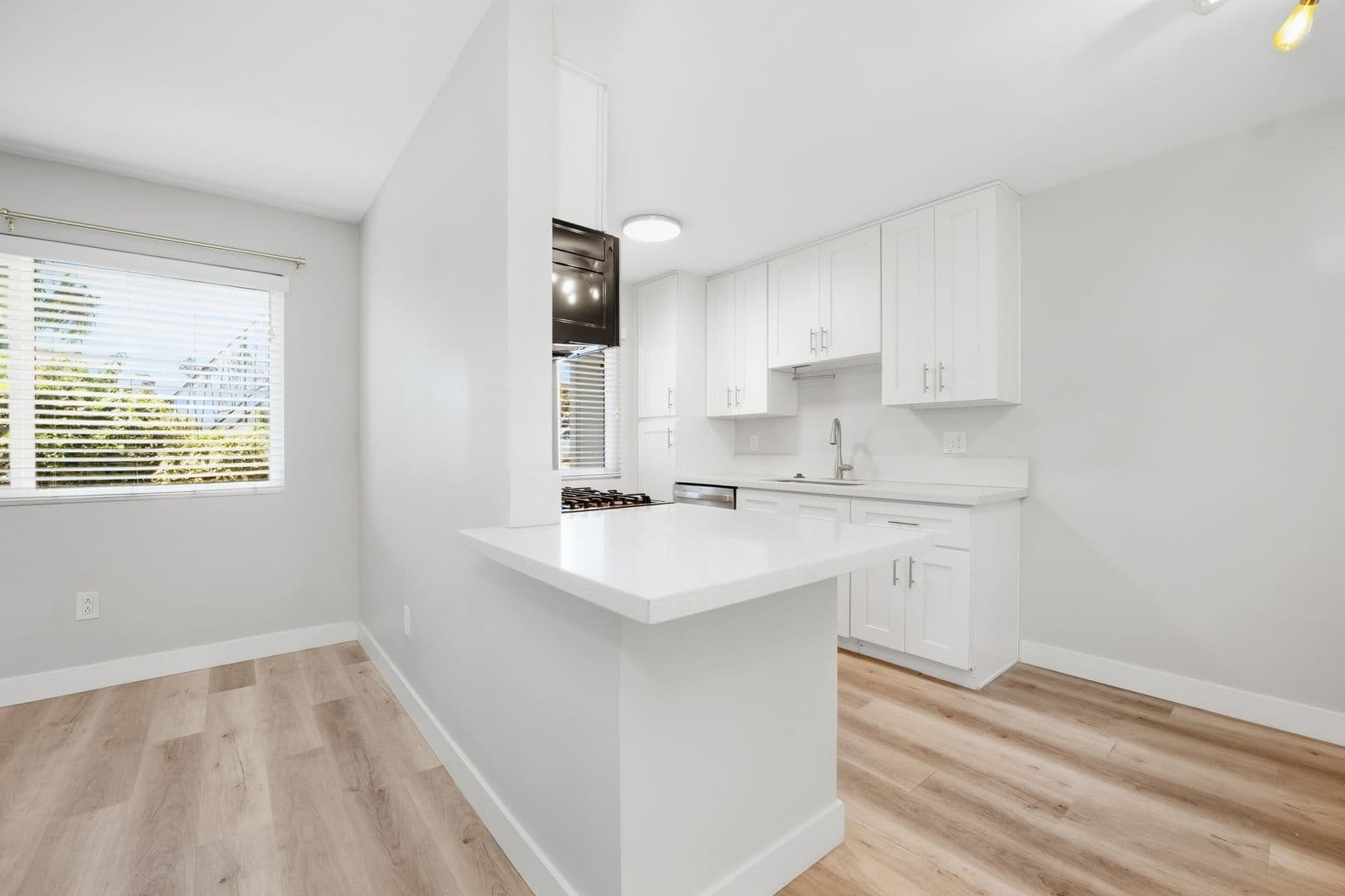 San Diego Apartment: 2003 Emerald St