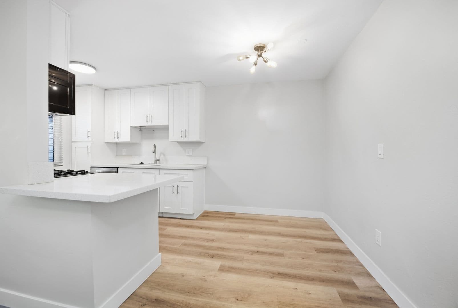 San Diego Apartment: 2003 Emerald St