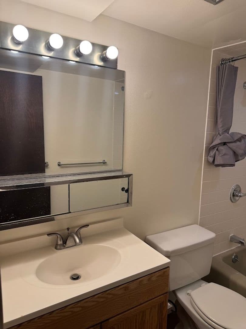 Pittsburgh Apartment: 255 Shady Ave