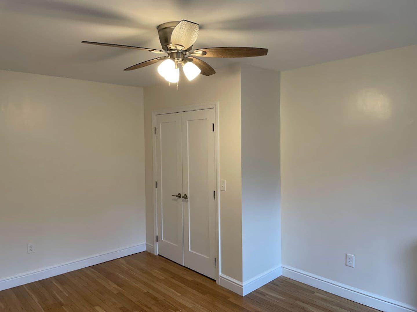 Pittsburgh Apartment: 259 Shady Avenue