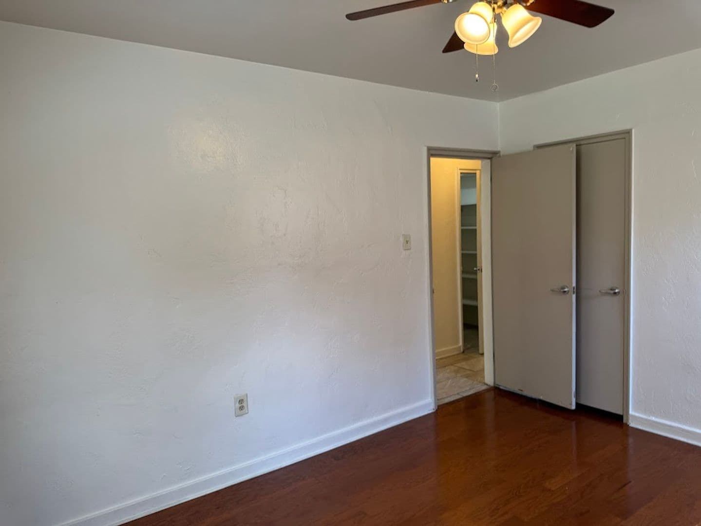 Pittsburgh Apartment: 5506 Fifth Avenue