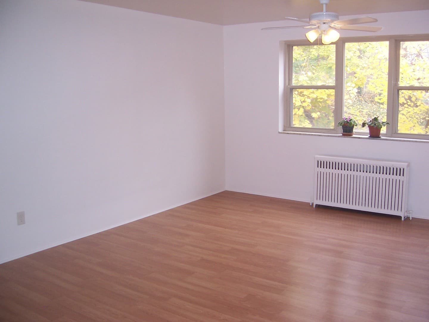 Pittsburgh Apartment: 2355 Eldridge