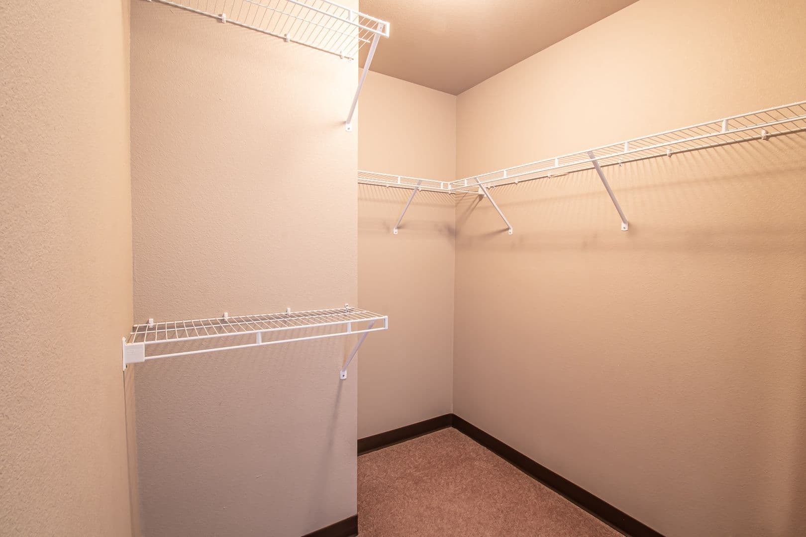 Dickinson Apartment: 1465 Roughrider Blvd
