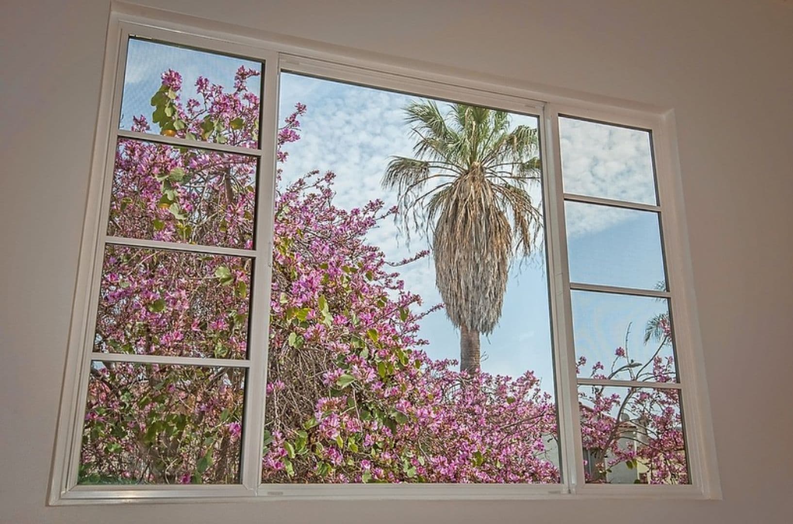 Los Angeles Apartment: 439 N. Ogden Dr.