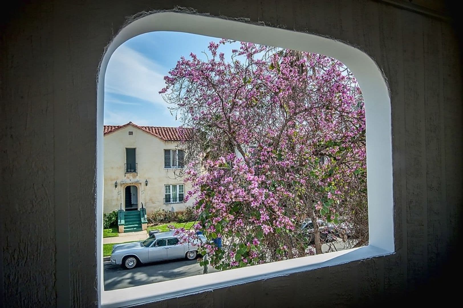 Los Angeles Apartment: 439 N. Ogden Dr.
