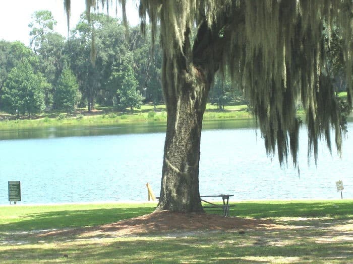 Lake Park House: 5267 Old US Hwy 41 S