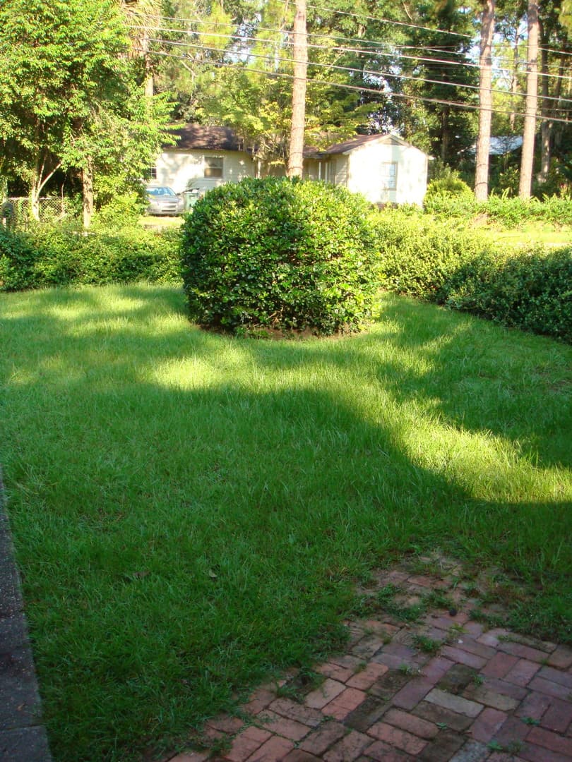 Valdosta Apartment: 1807 Slater St