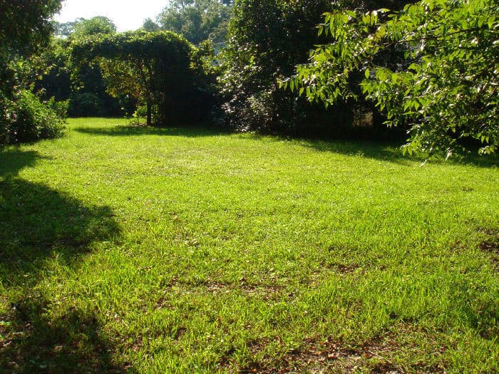 Valdosta Apartment: 1807 Slater St