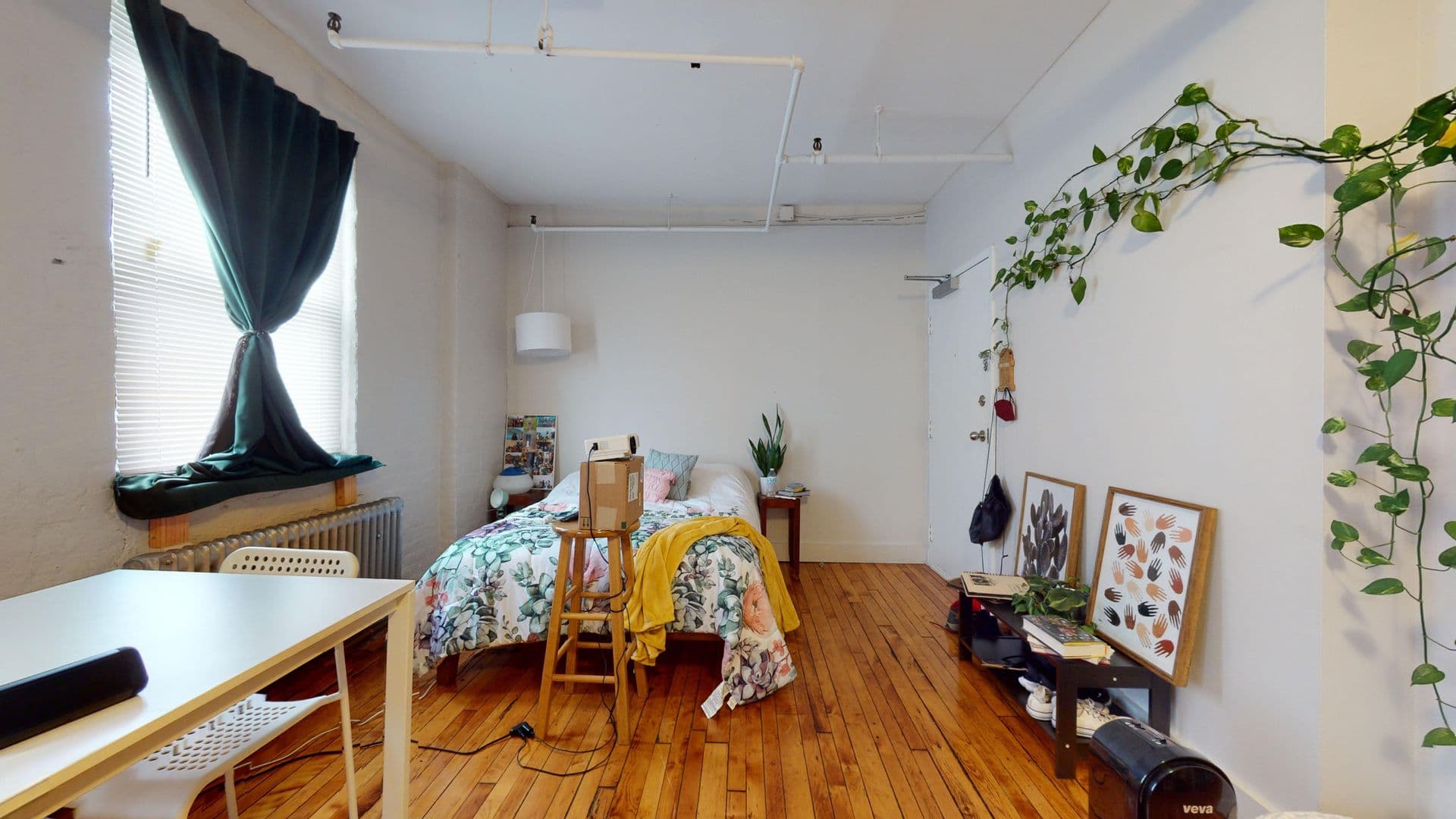 New Haven Apartment: 441 Chapel Street