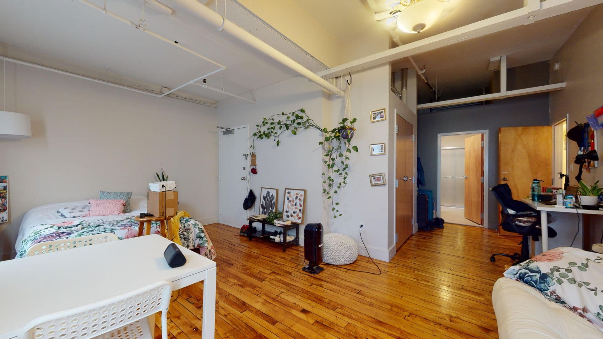 New Haven Apartment: 441 Chapel Street