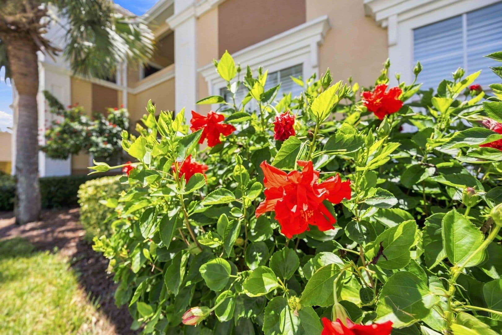 Sarasota Condo: 1195 Villagio Circle, Unit 206