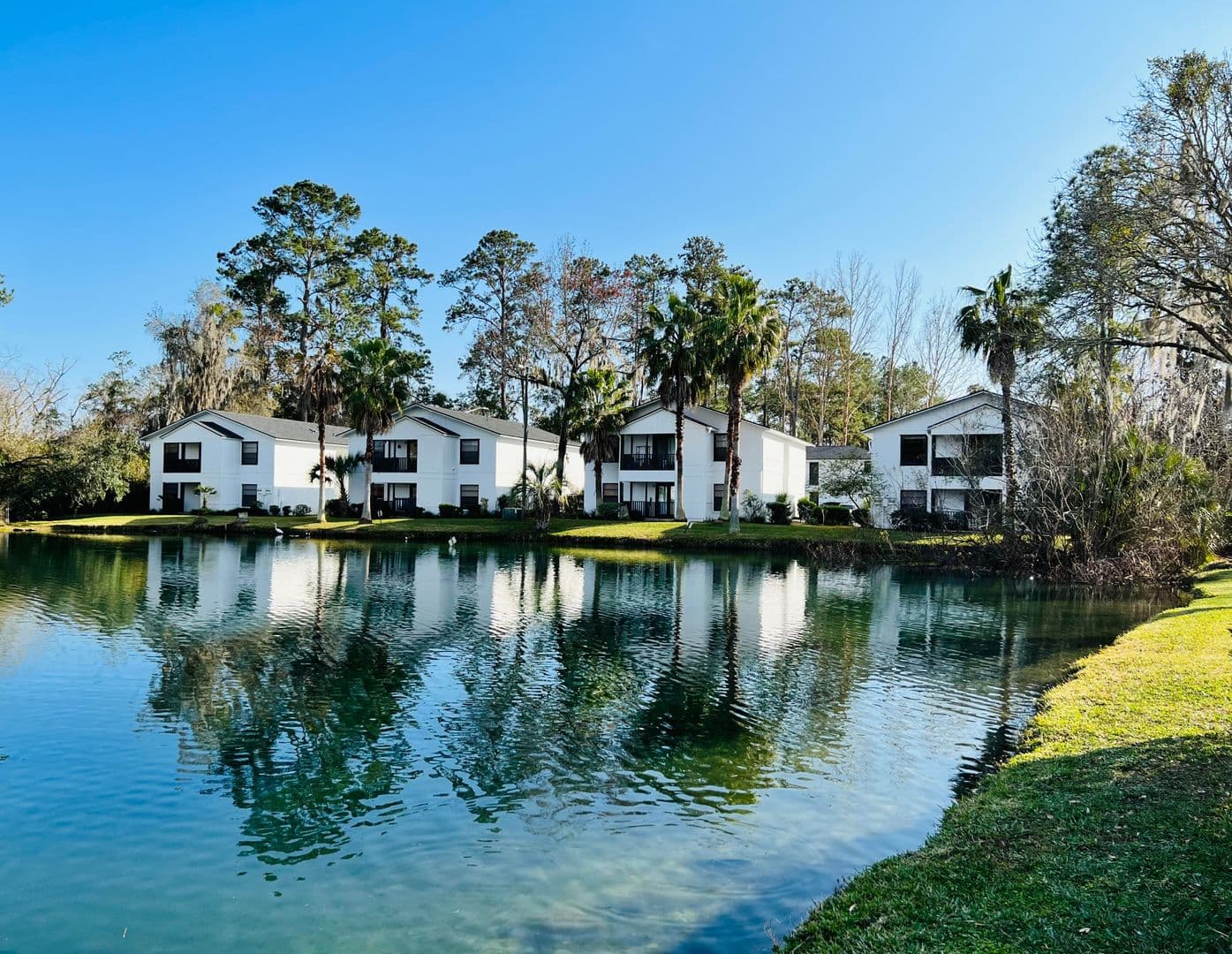 Gainesville Apartment: 3100 Southwest 35th Place