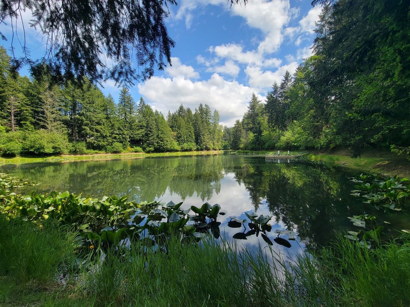 Yelm House: 18420 Rampart CT SE