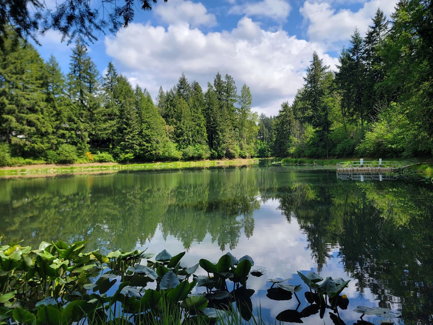 Yelm House: 18420 Rampart CT SE