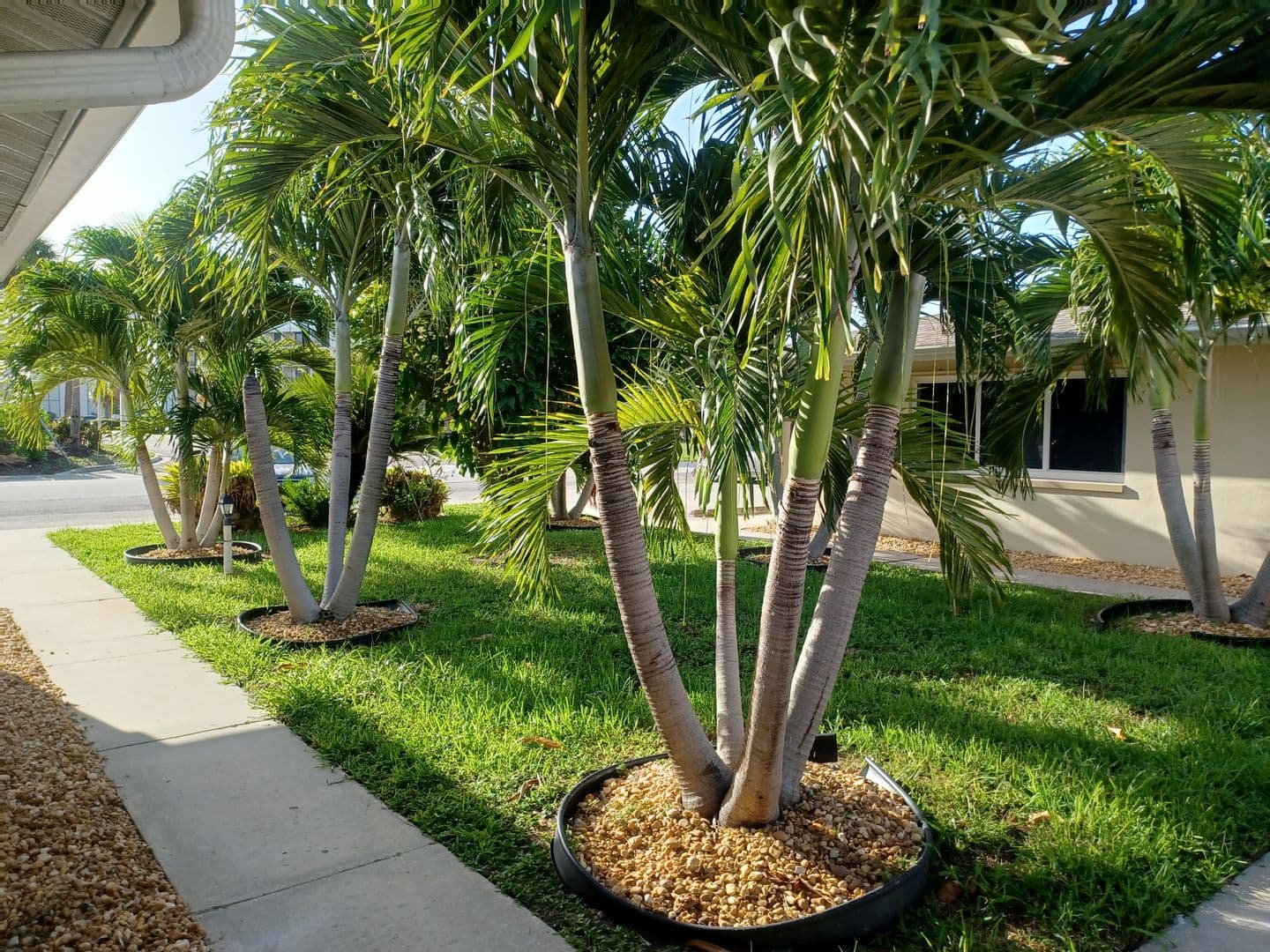 Cape Coral Apartment: 4808 Lucaya Dr